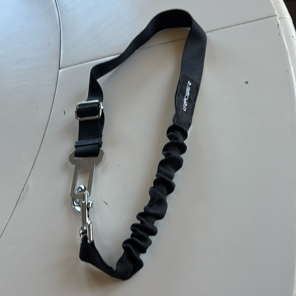 🎁🌞Black Dog seat belt